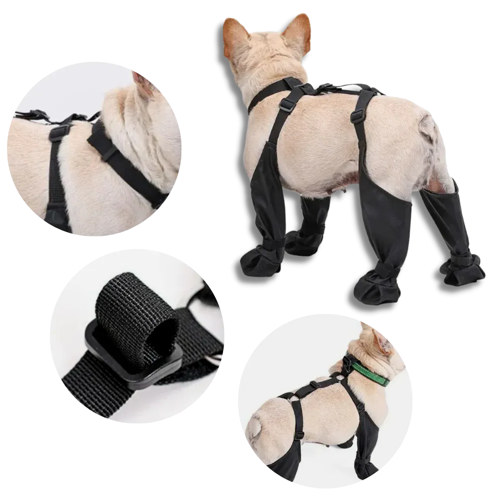 Waterproof Dog Suspenders Boots